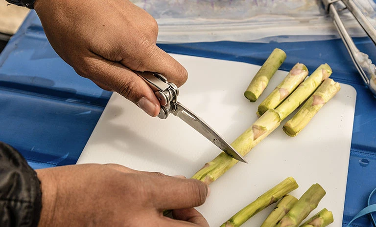 Leatherman Curl 8 Leatherman Curl – Image 6