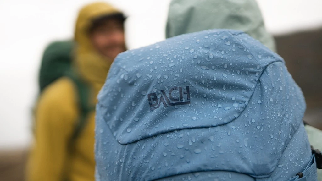 Bach Daydream 50 16 Bach Daydream 50 – Image 14