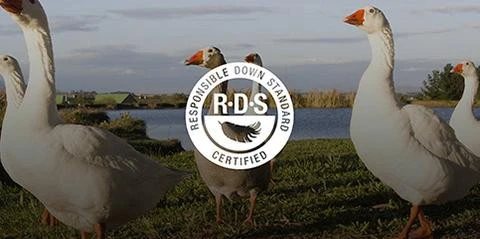 Sea To Summit Altitude ATII 21 Sea To Summit Altitude ATII – Image 19