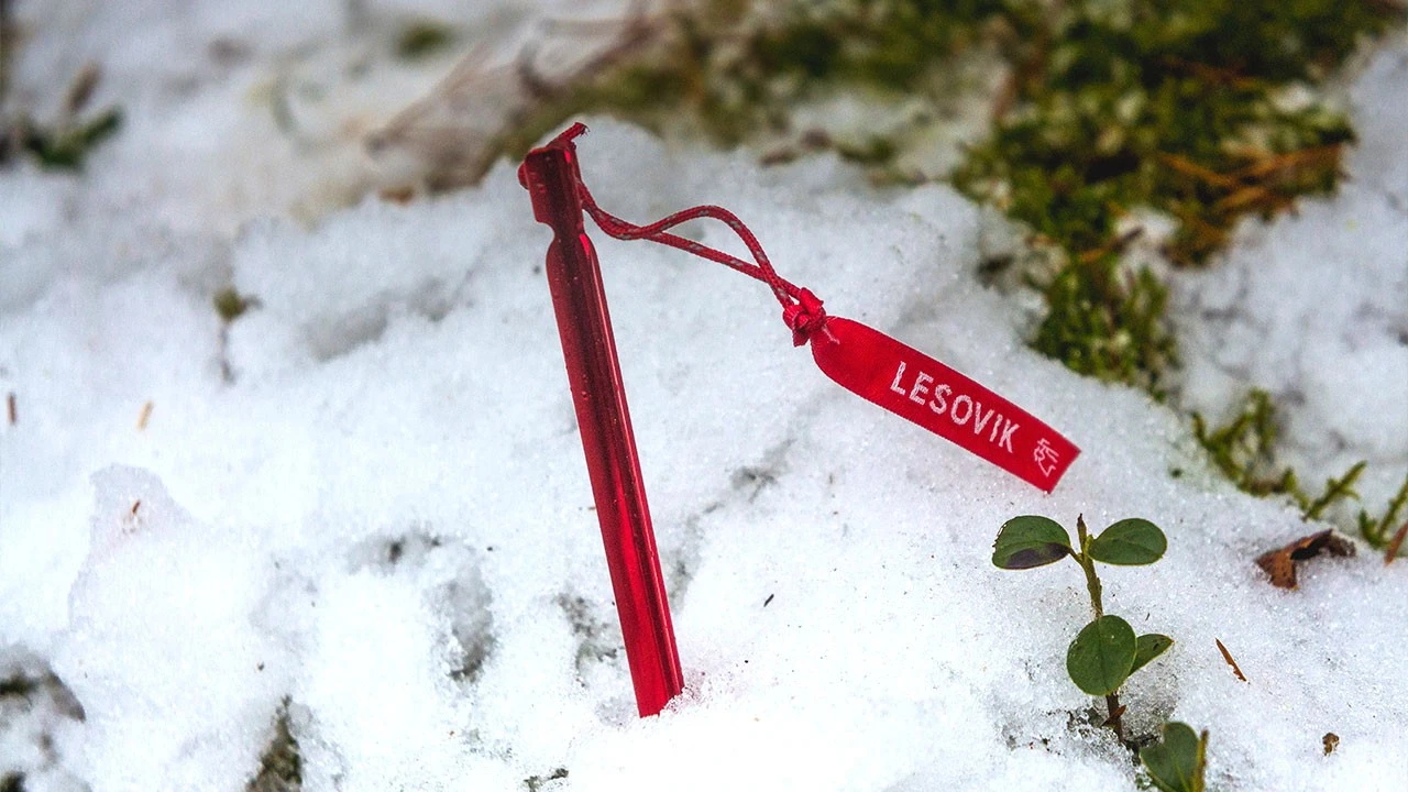 Lesovik Spig Peg 7 Lesovik Spig Peg – Image 5