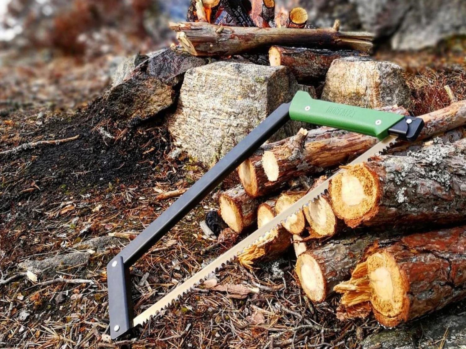 Agawa Canyon Boreal 21 15 Agawa Canyon Boreal 21 – Image 13