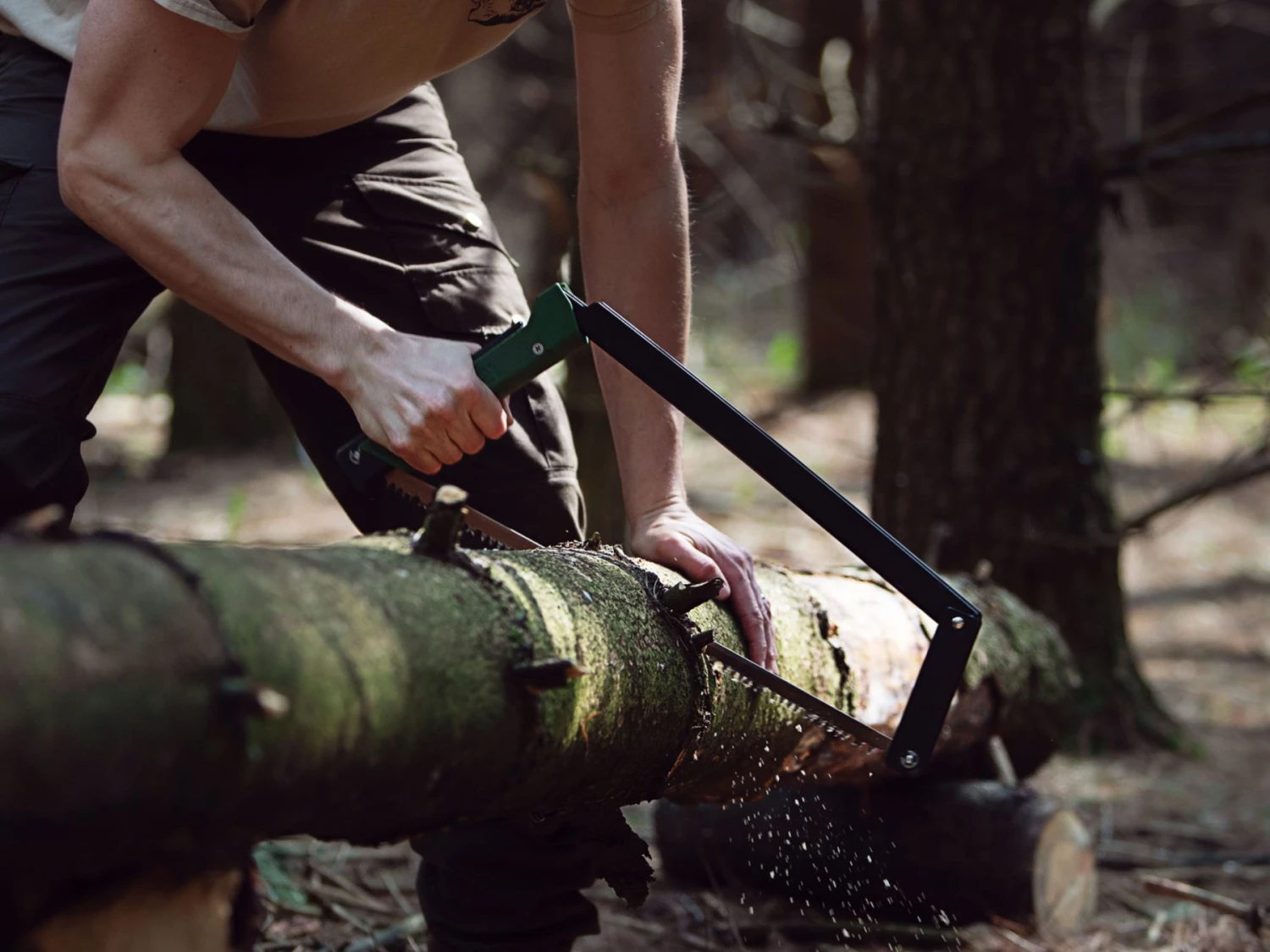 Agawa Canyon Boreal 21 14 Agawa Canyon Boreal 21 – Image 12