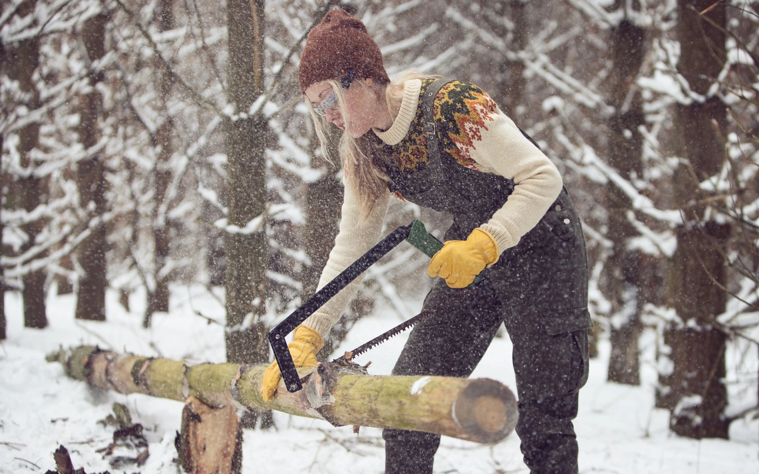 Agawa Canyon Boreal 21 18 Agawa Canyon Boreal 21 – Image 16