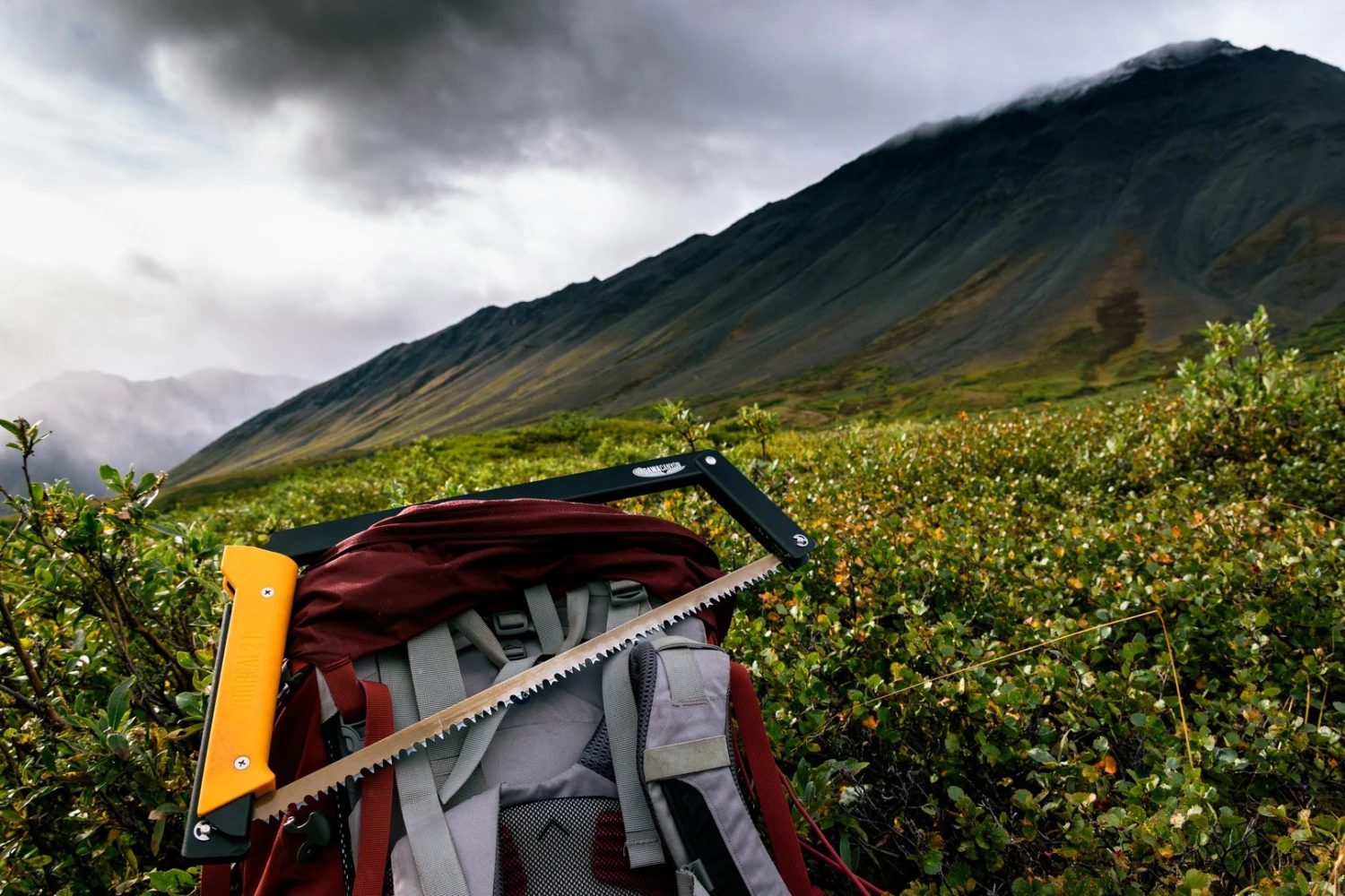 Agawa Canyon Boreal 15 21 Agawa Canyon Boreal 15 – Image 19