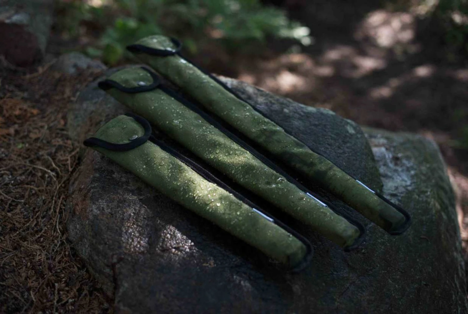 Agawa Canyon Boreal 21 20 Agawa Canyon Boreal 21 – Image 18