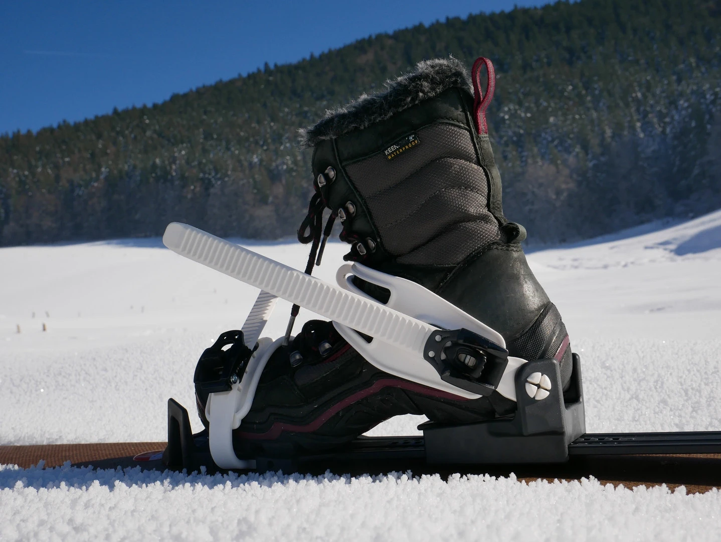 Fixations OAC EA 2.0 11 Fixations OAC EA 2.0 – Image 9