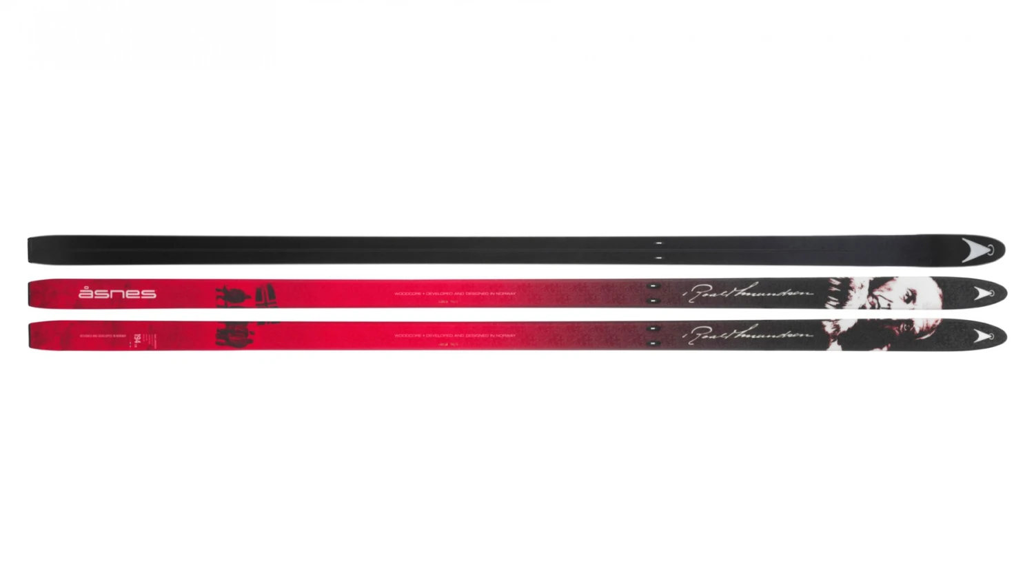 Åsnes Amundsen BC (Sans écailles) 5 Åsnes Amundsen BC (Sans écailles) – Image 3