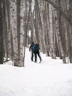 Madshus Panorama M68 (Epoch 68) 20 Madshus Panorama M68 (Epoch 68) -Randonnée Et Camping skis madshus panorama m68 03